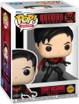 Funko Pop! Heroes: Batman Beyond - Terry McGinnis - 1/6 Odds for Rare Chase Variant - DC Comics - Collectable Vinyl Figure - Gift Idea - Official Merchandise - Toys for Kids & Adults